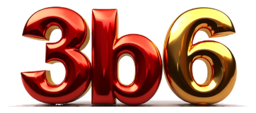 3b6